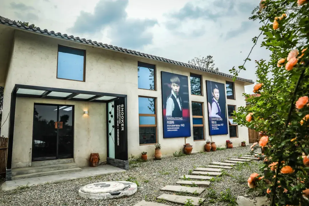 球运动的推 球运动的推